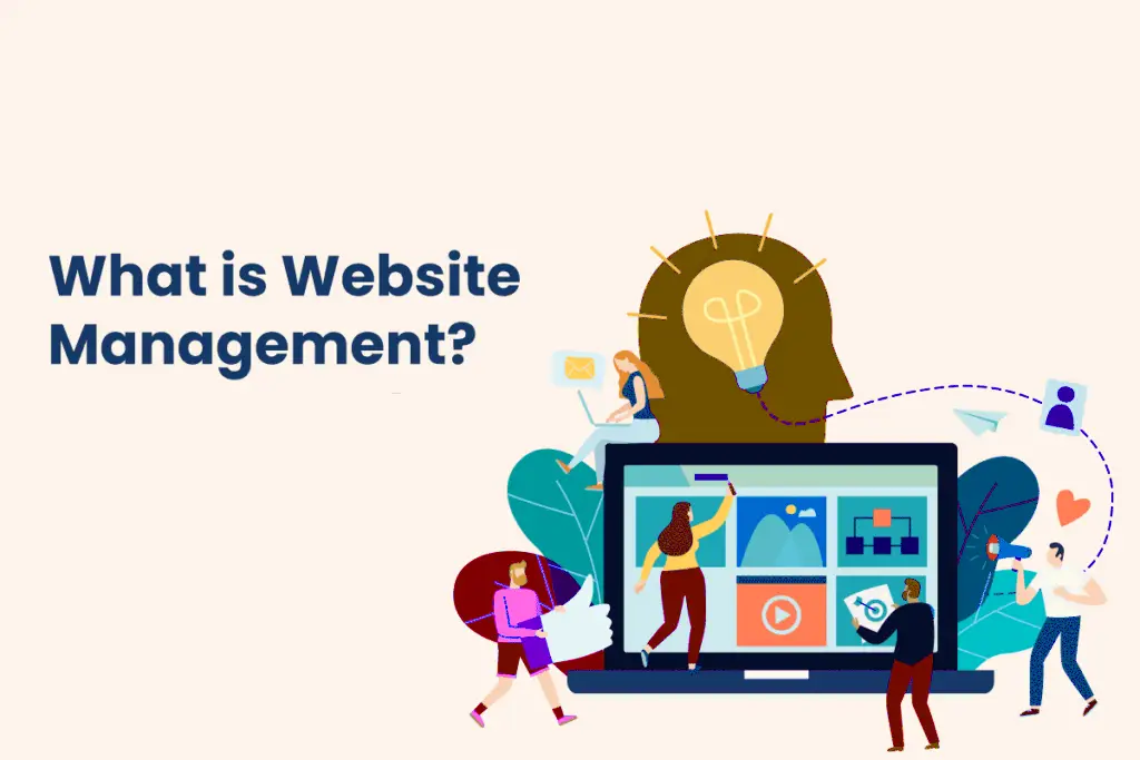 What is website management?